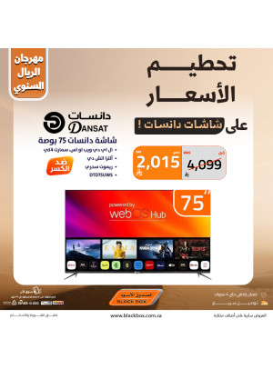 The Annual One Riyal Festival on Screens, Vol 13