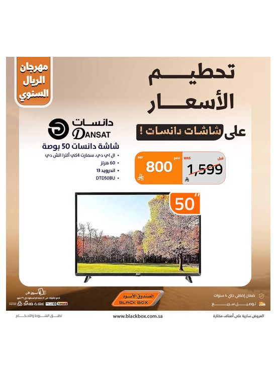 مهرجان الريال السنوي على الشاشات، العدد الثاني