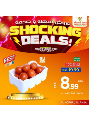 Shocking Deals, Vol 2 - Al Ahsaa