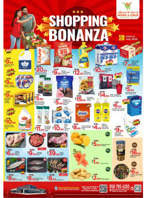 Shopping Bonanza - Wadi Al Safa, Dubai