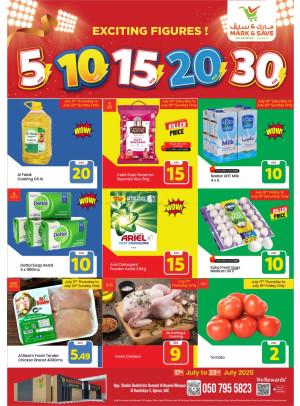 Exciting Figures - AL Rashidiya 3, Ajman