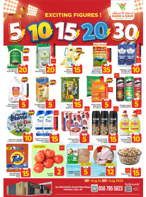 Exciting Figures - AL Rashidiya 3, Ajman