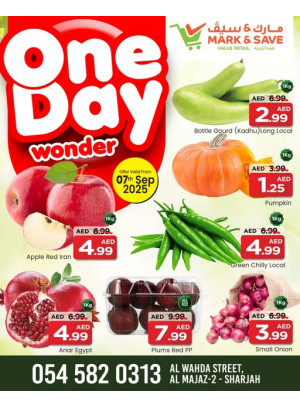 One Day Wonder - Al Wahda, Sharjah