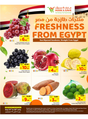 عروض منتجات طازجة من مصر - الخبر