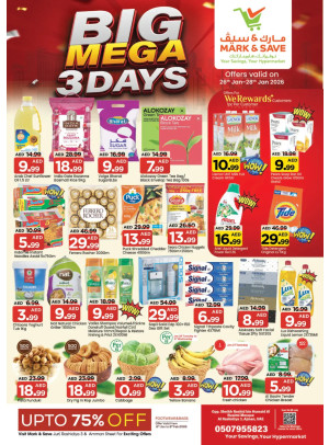 Big Mega Deals - AL Rashidiya 3, Ajman