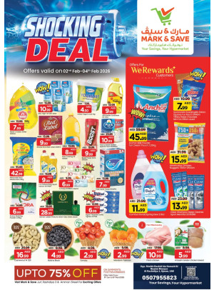 Shocking Deals - AL Rashidiya 3, Ajman