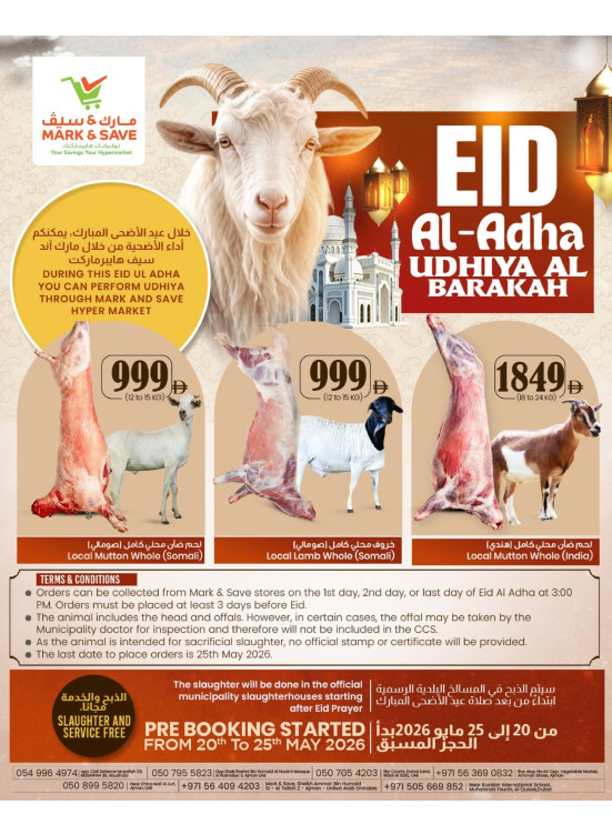 أضحية العيد