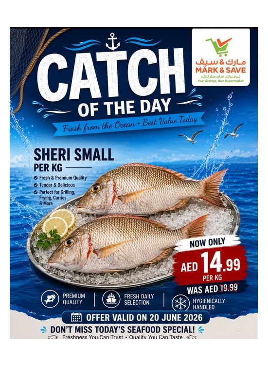 Catch Of The Day
