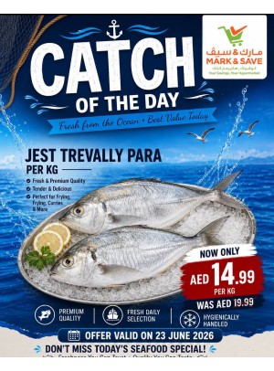 Catch Of The Day