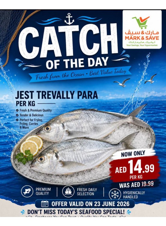 Catch Of The Day