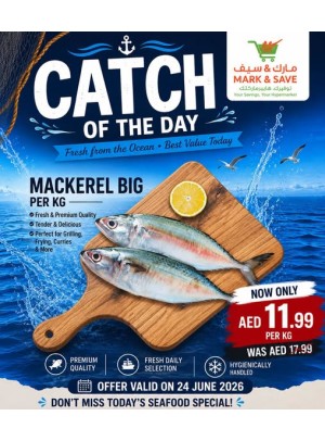 Catch Of The Day