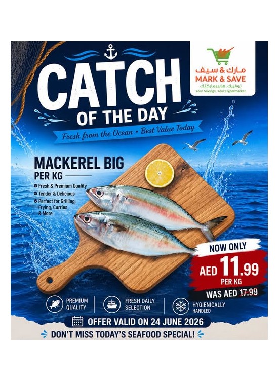 Catch Of The Day
