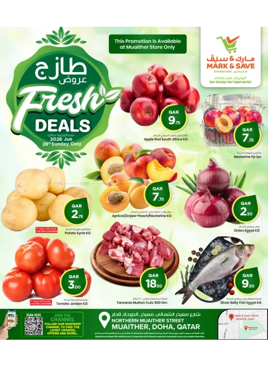 عروض طازجة