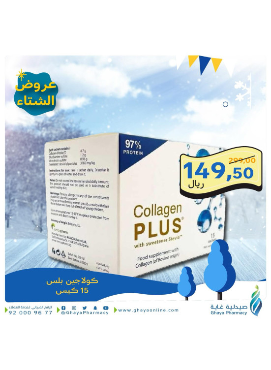 عروض الشتاء، العدد الثانى