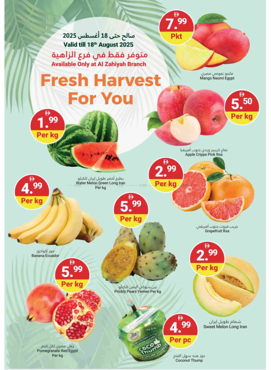 Fresh Harvest For You