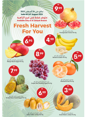 Fresh Harvest For You