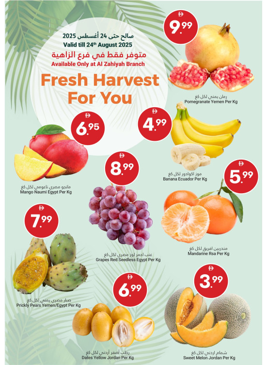 Fresh Harvest For You