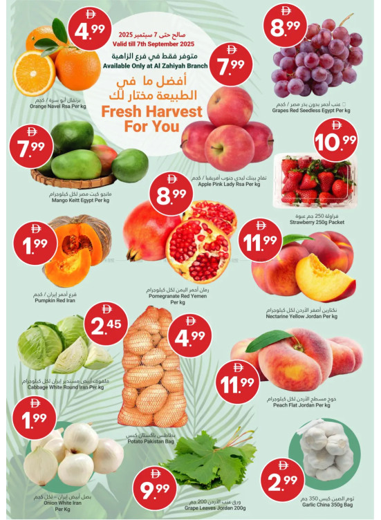 Fresh Harvest For You
