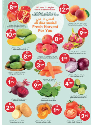 Fresh Harvest For You