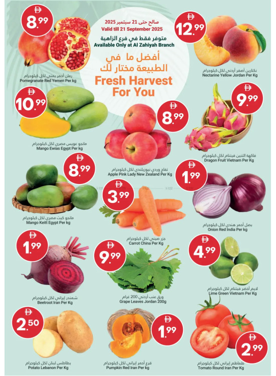 Fresh Harvest For You
