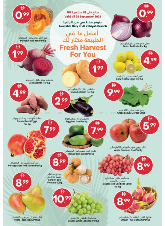 Fresh Harvest For You
