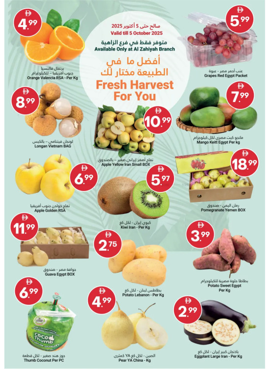 أفضل ما في الطبيعة لك