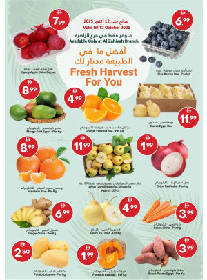 Fresh Harvest For You