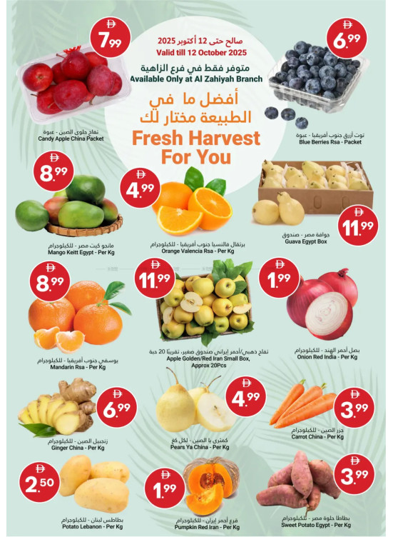 Fresh Harvest For You