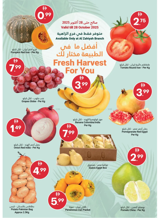 Fresh Harvest For You