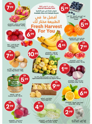 Fresh Harvest For You