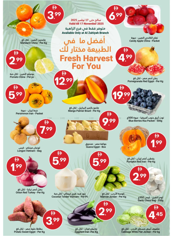 Fresh Harvest For You