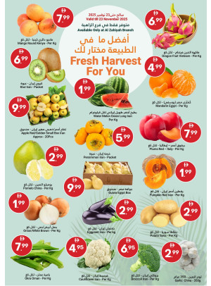 Fresh Harvest For You