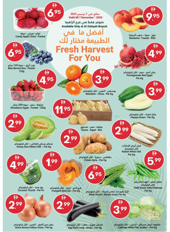 Fresh Harvest For You