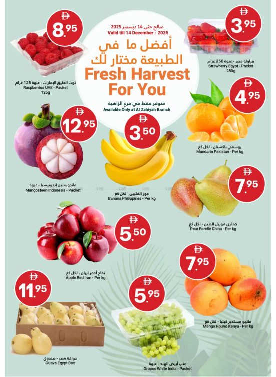 Fresh Harvest For You