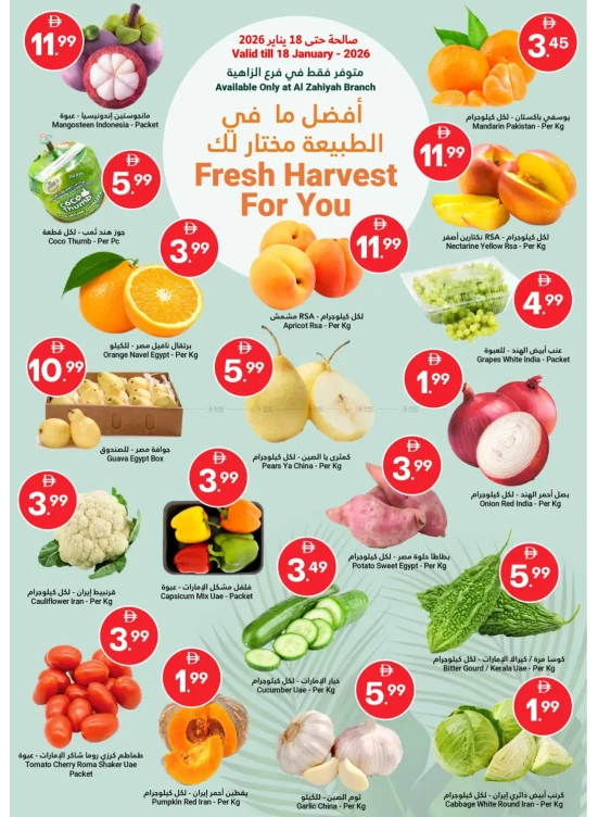 Fresh Harvest For You