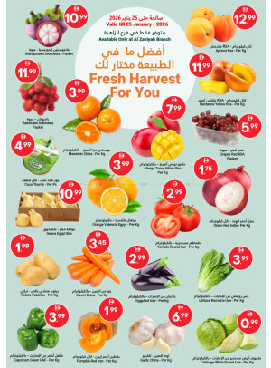 Fresh Harvest For You