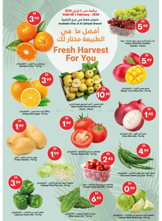 Fresh Harvest For You