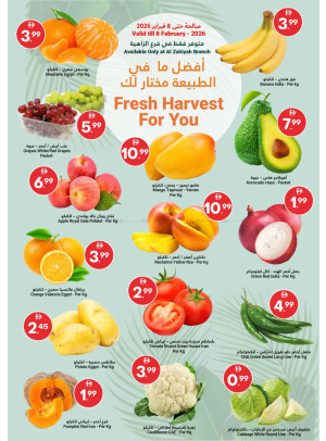 Fresh Harvest For You