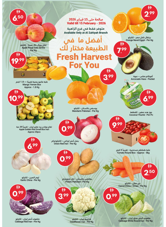 Fresh Harvest For You