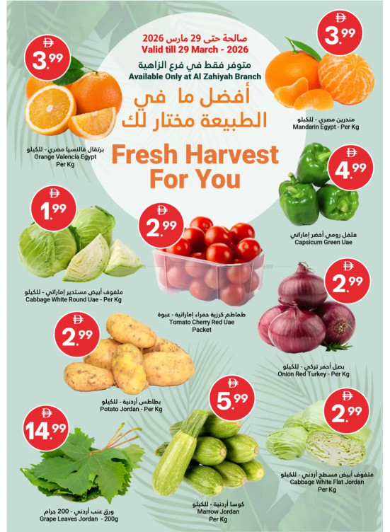 Fresh Harvest For You