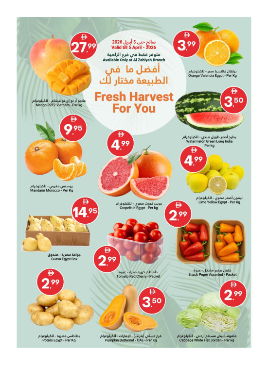 Fresh Harvest For You