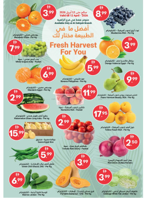 Fresh Harvest For You