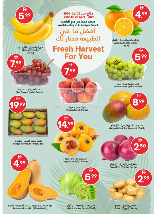 أفضل ما في الطبيعة مختار لك