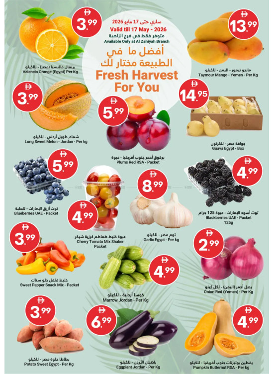 Fresh Harvest For You