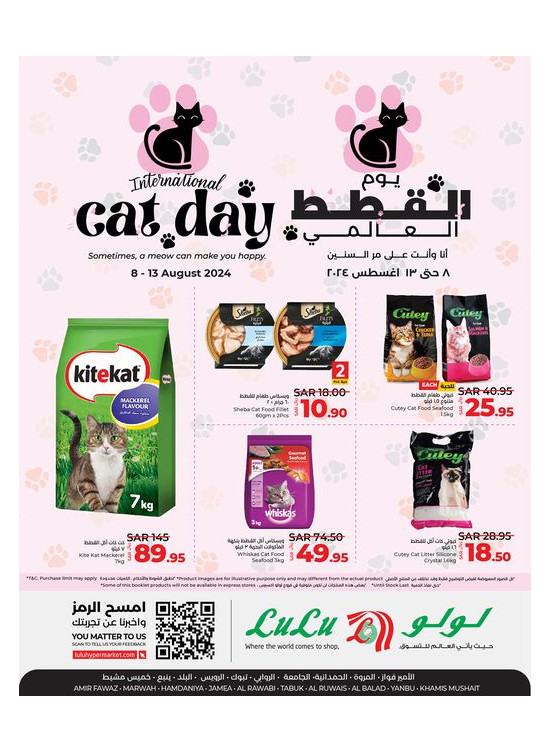 International Cat Day - Jeddah, Tabuk, Yanbu & Khamis Mushait