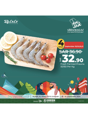 عروض اليوم الوطني السعودي، العدد الرابع - الرياض، حائل، الخرج وعنيزة