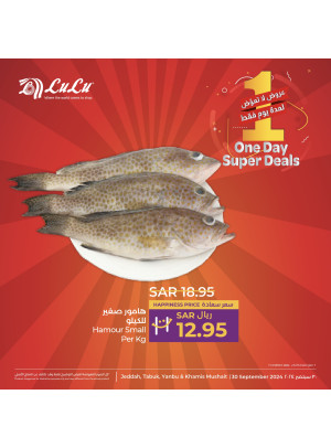 One Day Super Deals, Vol 4 - Jeddah, Tabuk, Yanbu & Khamis Mushait