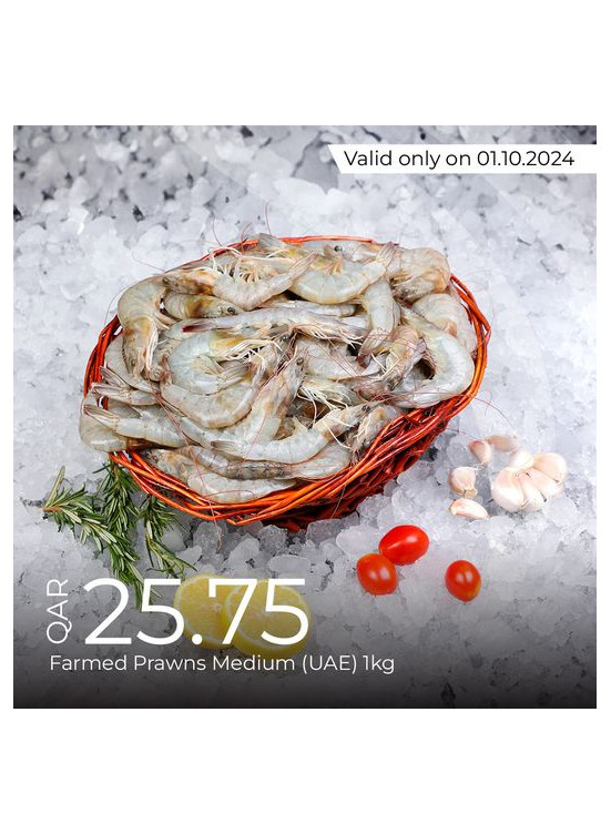 Today's Deal