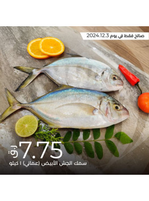 عرض اليوم
