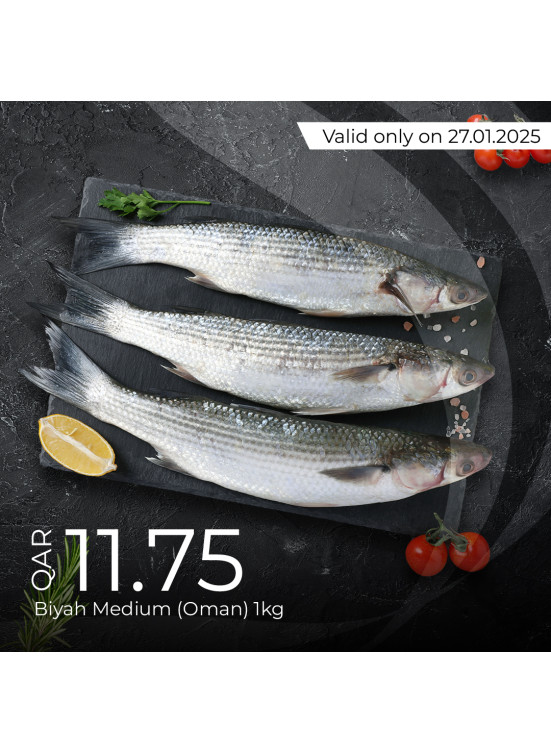 Today's Deal
